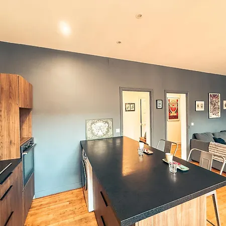 Spacieux F2 Refait A Neuf Dans Un Esprit Loft Lejlighed *